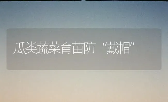 瓜类蔬菜育苗防“戴帽” | 蔬菜种植