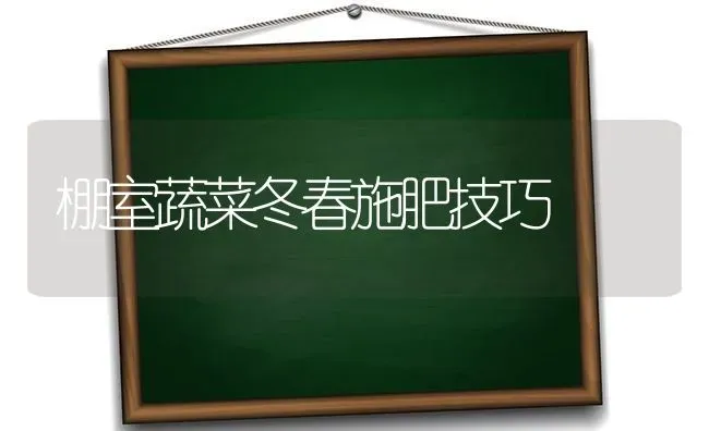 棚室蔬菜冬春施肥技巧 | 蔬菜种植