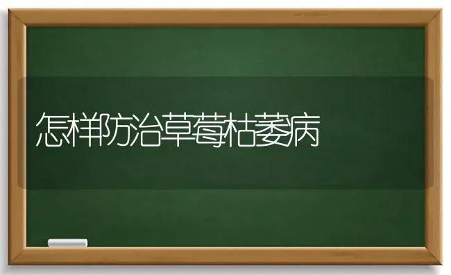 怎样防治草莓枯萎病 | 瓜果种植