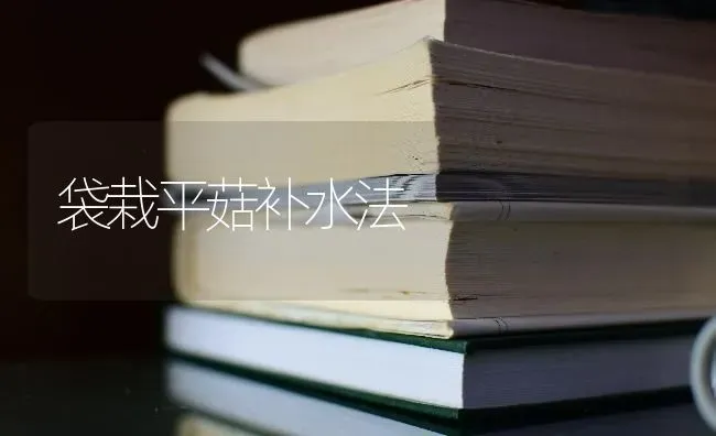 袋栽平菇补水法 | 食用菌种植
