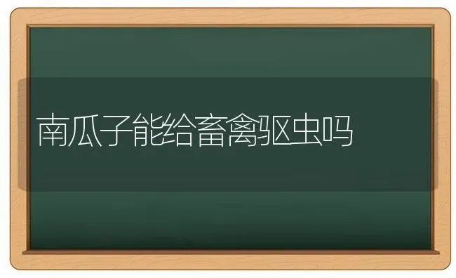 南瓜子能给畜禽驱虫吗 | 蔬菜种植