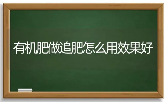 有机肥做追肥怎么用效果好 | 瓜果种植