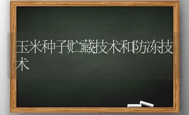 玉米种子贮藏技术和防冻技术 | 粮油作物种植