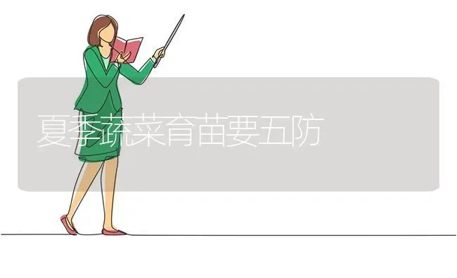 夏季蔬菜育苗要五防 | 蔬菜种植