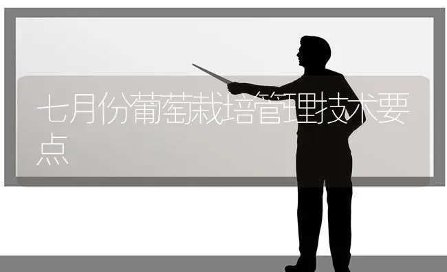 七月份葡萄栽培管理技术要点 | 瓜果种植