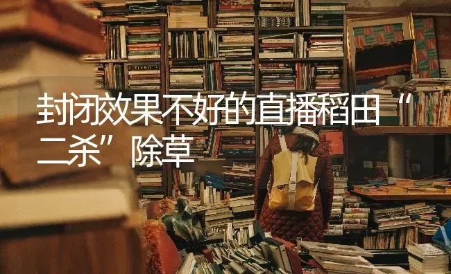 封闭效果不好的直播稻田“二杀”除草 | 瓜果种植