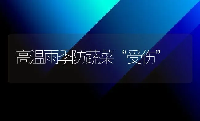 高温雨季防蔬菜“受伤” | 蔬菜种植