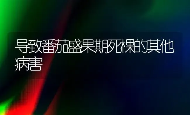 导致番茄盛果期死棵的其他病害 | 瓜果种植