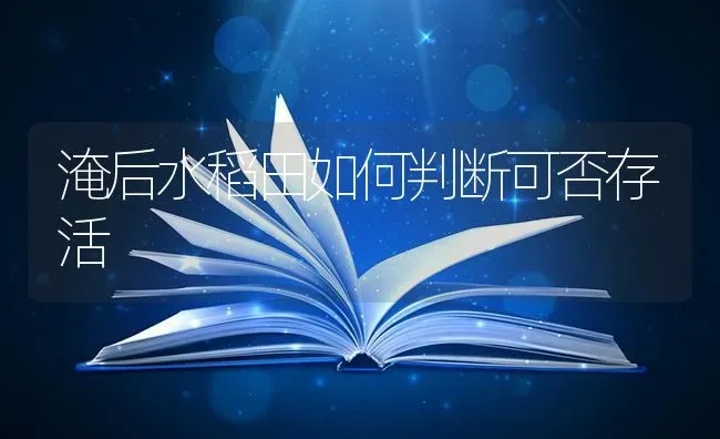 淹后水稻田如何判断可否存活 | 粮油作物种植