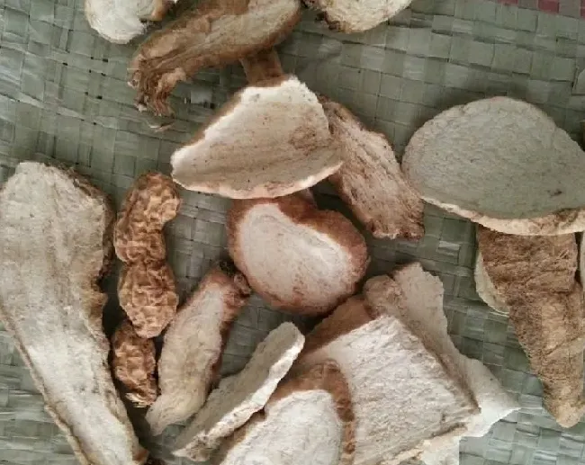 功效常识|白首乌的功效与作用及食用方法