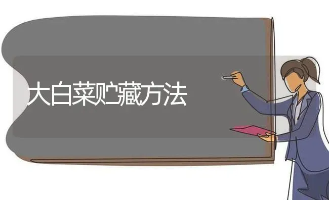 大白菜贮藏方法 | 蔬菜种植