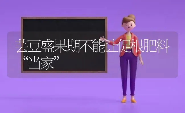 芸豆盛果期不能让促根肥料“当家” | 瓜果种植