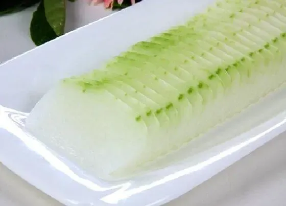 食用须知|冬瓜是生吃好还是熟吃好