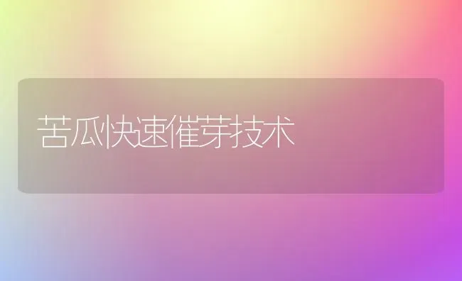 苦瓜快速催芽技术 | 蔬菜种植