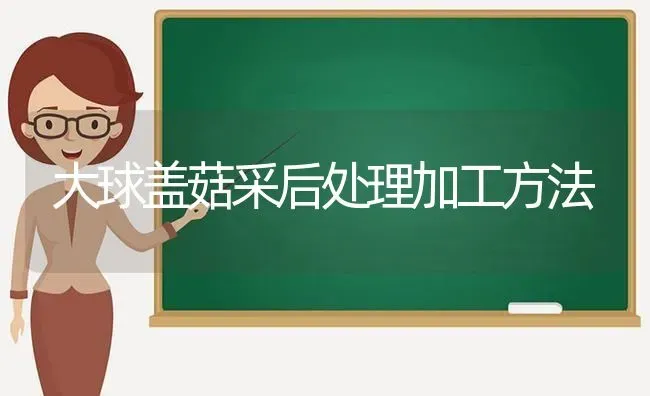 大球盖菇采后处理加工方法 | 食用菌种植