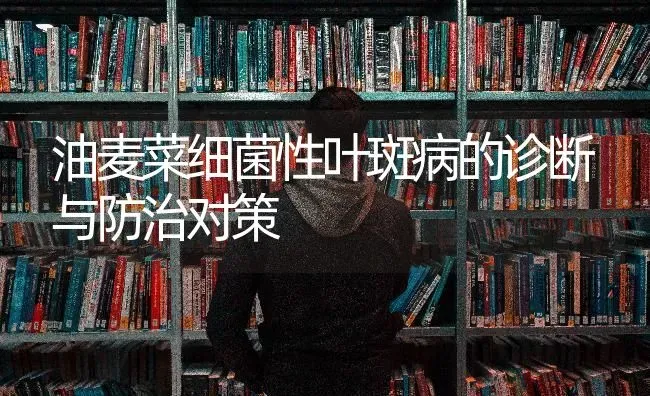 油麦菜细菌性叶斑病的诊断与防治对策 | 蔬菜种植