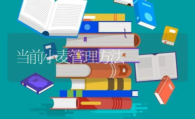 当前小麦管理方法 | 粮油作物种植