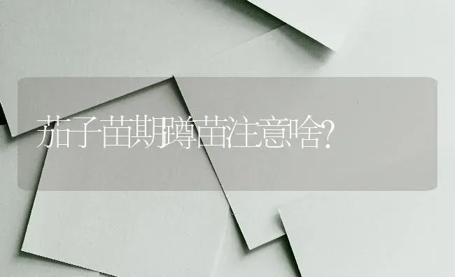 茄子苗期蹲苗注意啥？ | 蔬菜种植