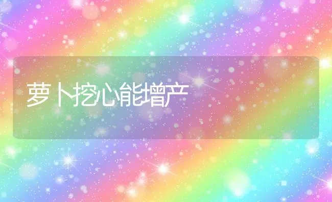 萝卜挖心能增产 | 蔬菜种植