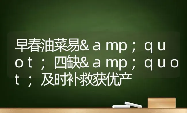 早春油菜易"四缺"及时补救获优产 | 粮油作物种植