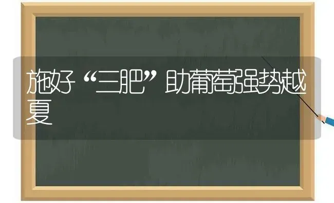 施好“三肥”助葡萄强势越夏 | 瓜果种植