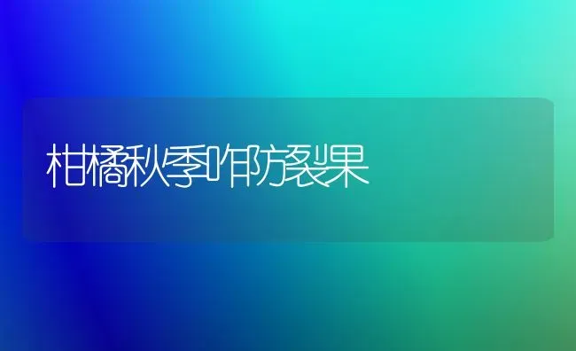 柑橘秋季咋防裂果 | 瓜果种植