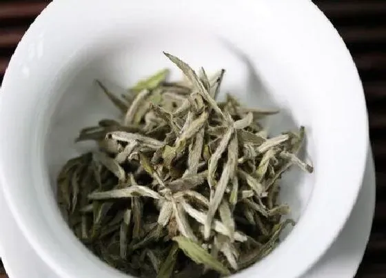 食用常识|白毫银针属于什么茶类 喝白毫银针茶的功效作用