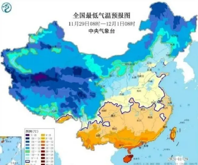 冬天植物|今年冬季第四轮大范围寒潮来了 第四波寒潮将来袭最新消息