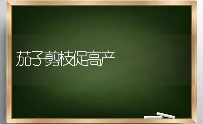 茄子剪枝促高产 | 蔬菜种植
