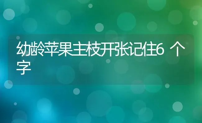 幼龄苹果主枝开张记住6个字 | 瓜果种植