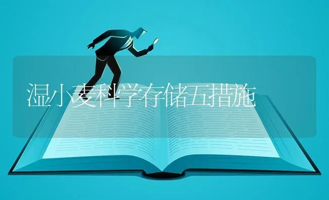 湿小麦科学存储五措施 | 粮油作物种植