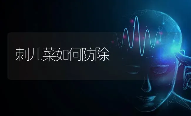 刺儿菜如何防除 | 蔬菜种植