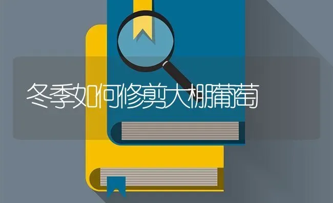 冬季如何修剪大棚葡萄 | 瓜果种植
