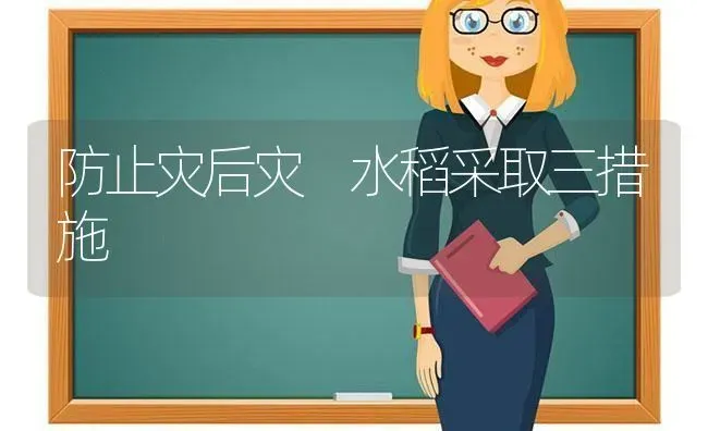 防止灾后灾 水稻采取三措施 | 粮油作物种植