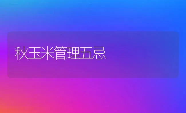 秋玉米管理五忌 | 粮油作物种植