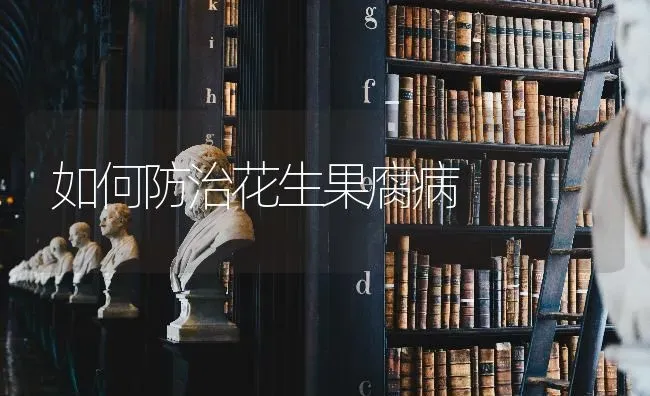 如何防治花生果腐病 | 瓜果种植