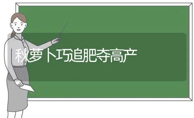 秋萝卜巧追肥夺高产 | 蔬菜种植