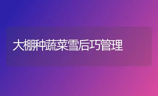大棚种蔬菜雪后巧管理 | 蔬菜种植