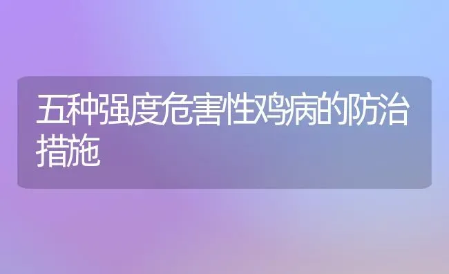盆栽石榴珍品---红花黑果石榴 | 瓜果种植