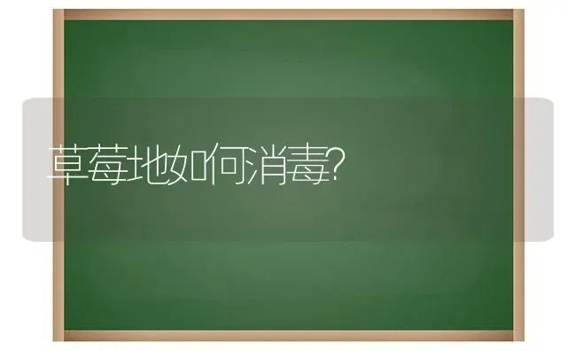 草莓地如何消毒？ | 瓜果种植