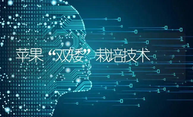 苹果“双矮”栽培技术 | 瓜果种植