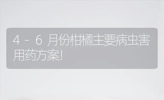 4-6月份柑橘主要病虫害用药方案！ | 种植病虫害防治