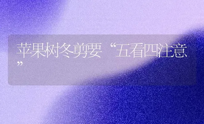 苹果树冬剪要“五看四注意” | 瓜果种植
