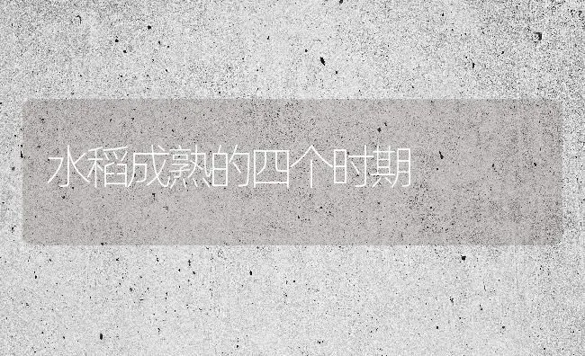水稻成熟的四个时期 | 粮油作物种植