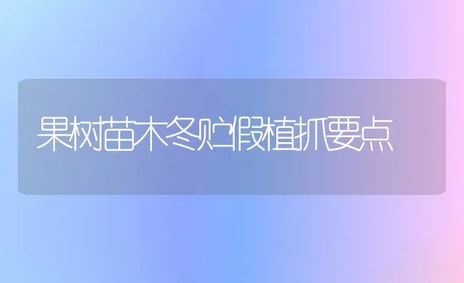 果树苗木冬贮假植抓要点 | 瓜果种植