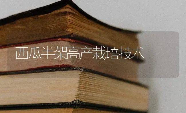 西瓜半架高产栽培技术 | 瓜果种植