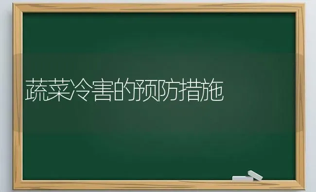 蔬菜冷害的预防措施 | 蔬菜种植