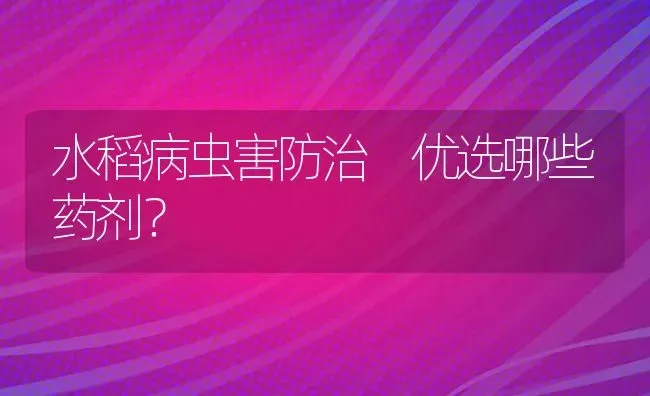 水稻病虫害防治 优选哪些药剂？ | 粮油作物种植