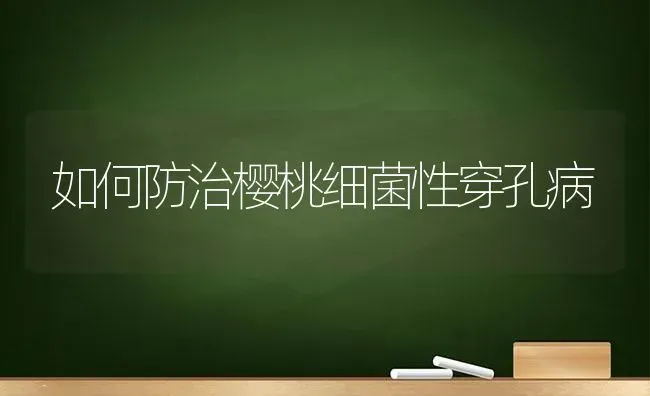 如何防治樱桃细菌性穿孔病 | 瓜果种植