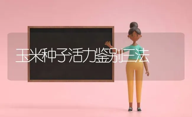 玉米种子活力鉴别三法 | 粮油作物种植